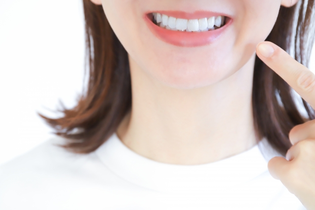 綺麗な女性の歯の写真